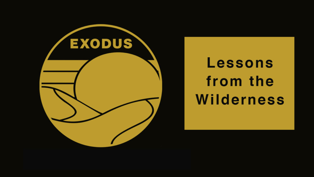 Week 1: Exodus Online Groups Introduction