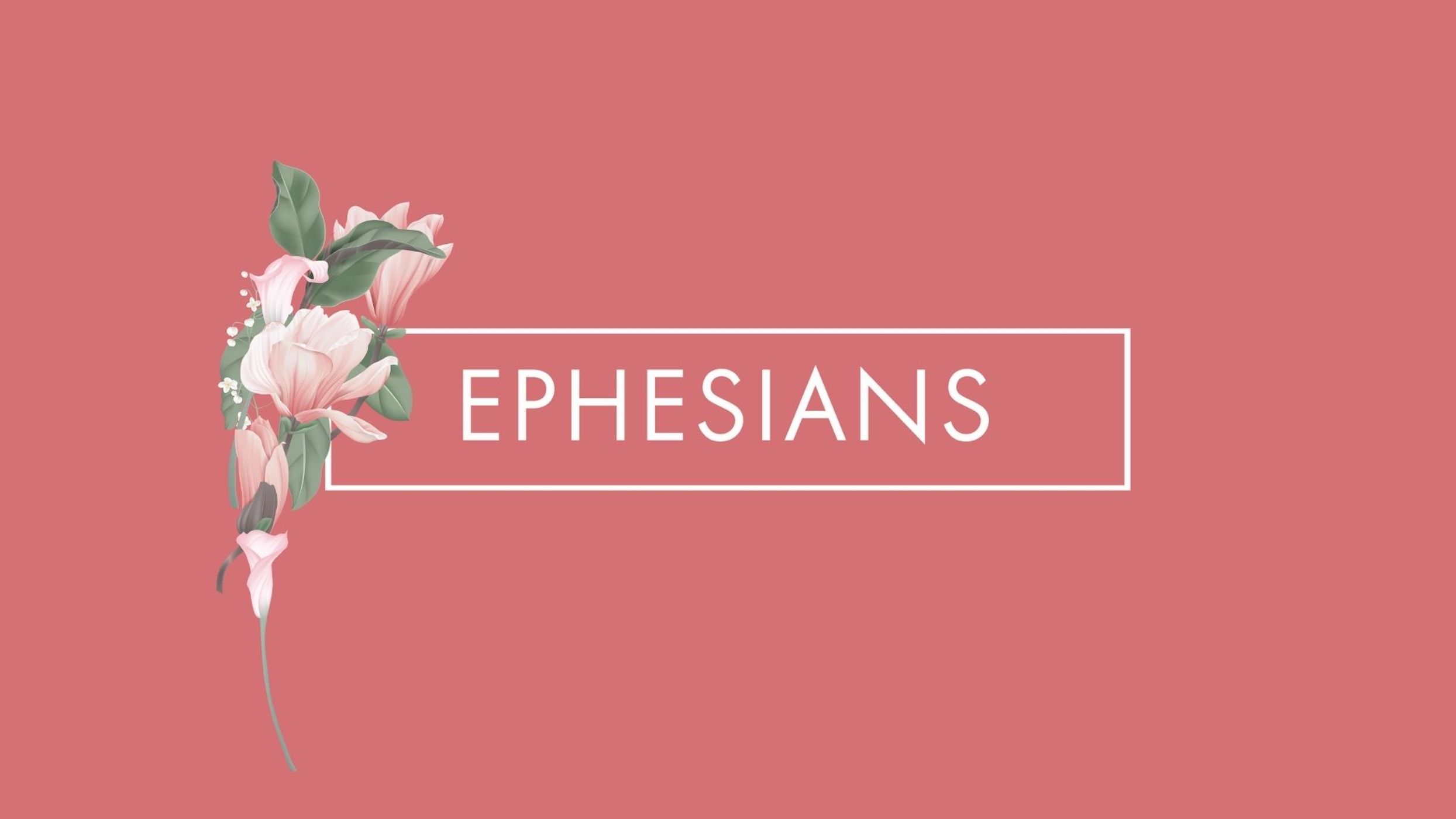 Week 2: Ephesians 1 - WBS Ephesians